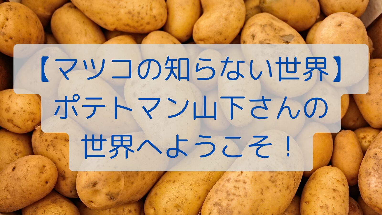 【マツコの知らない世界】ポテトマン山下さんの世界へようこそ！