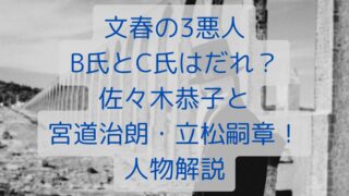 文春の3悪人B氏とC氏はだれ？佐々木恭子と宮道治朗・立松嗣章！人物解説