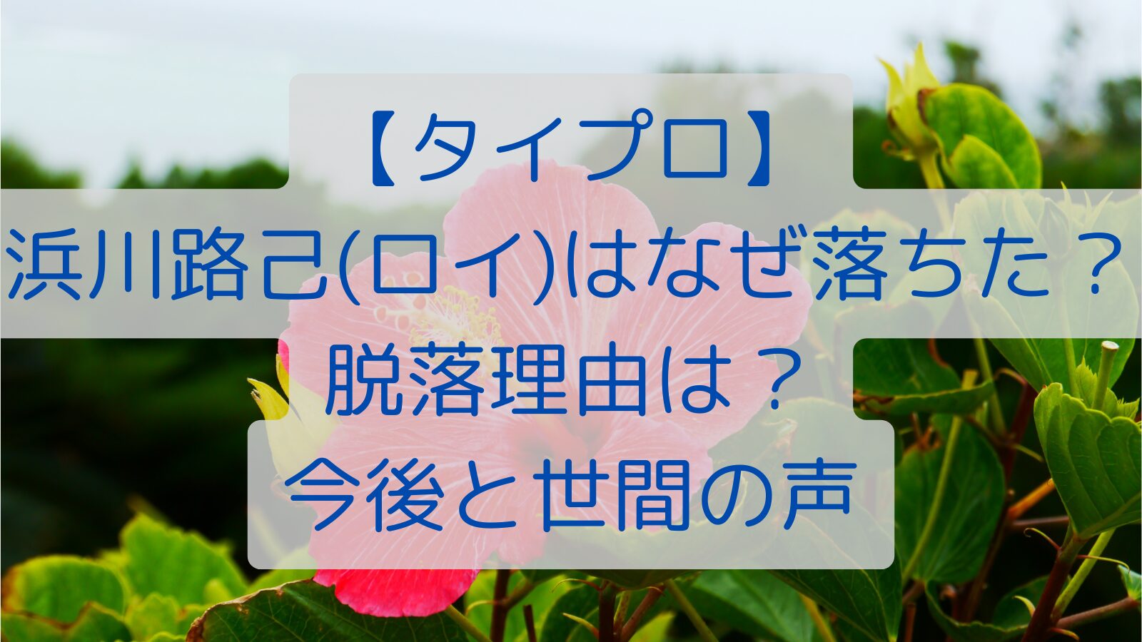 【タイプロ】浜川路己(ロイ)はなぜ落ちた？脱落理由は？今後と世間の声