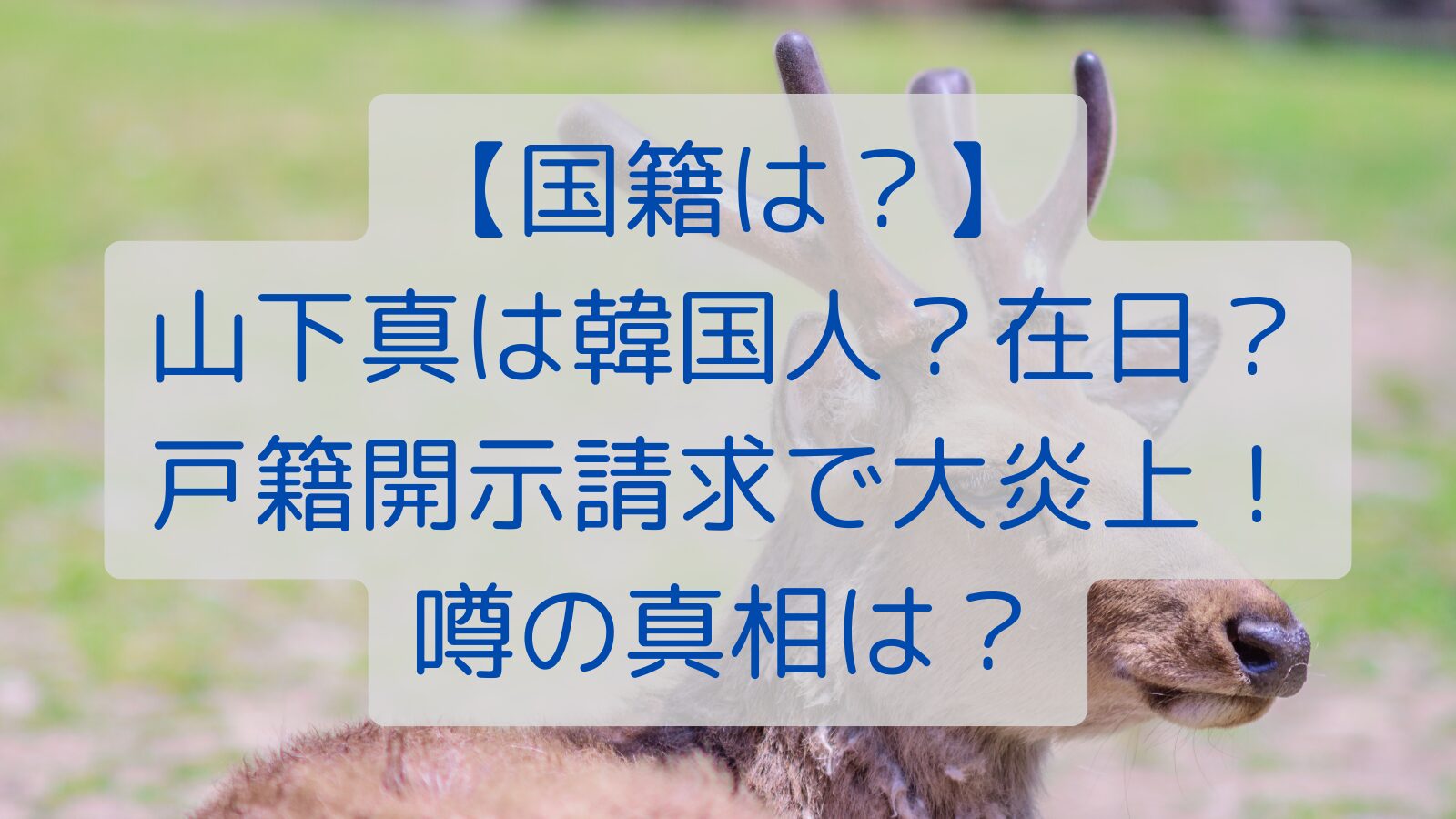 【国籍は？】山下真は韓国人？在日？戸籍開示請求で大炎上！噂の真相は？