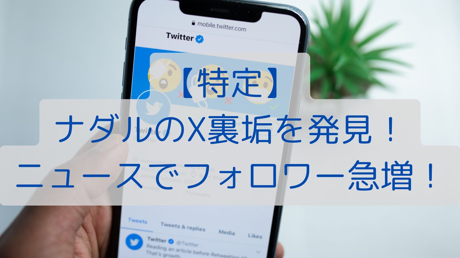 【特定】ナダルのX裏垢を発見！ニュースでフォロワー急増！