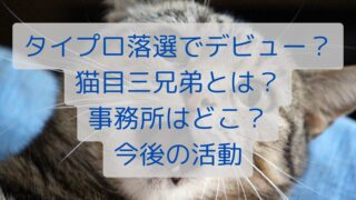 【タイプロ落選でデビュー？】猫目三兄弟とは？事務所はどこ？今後の活動